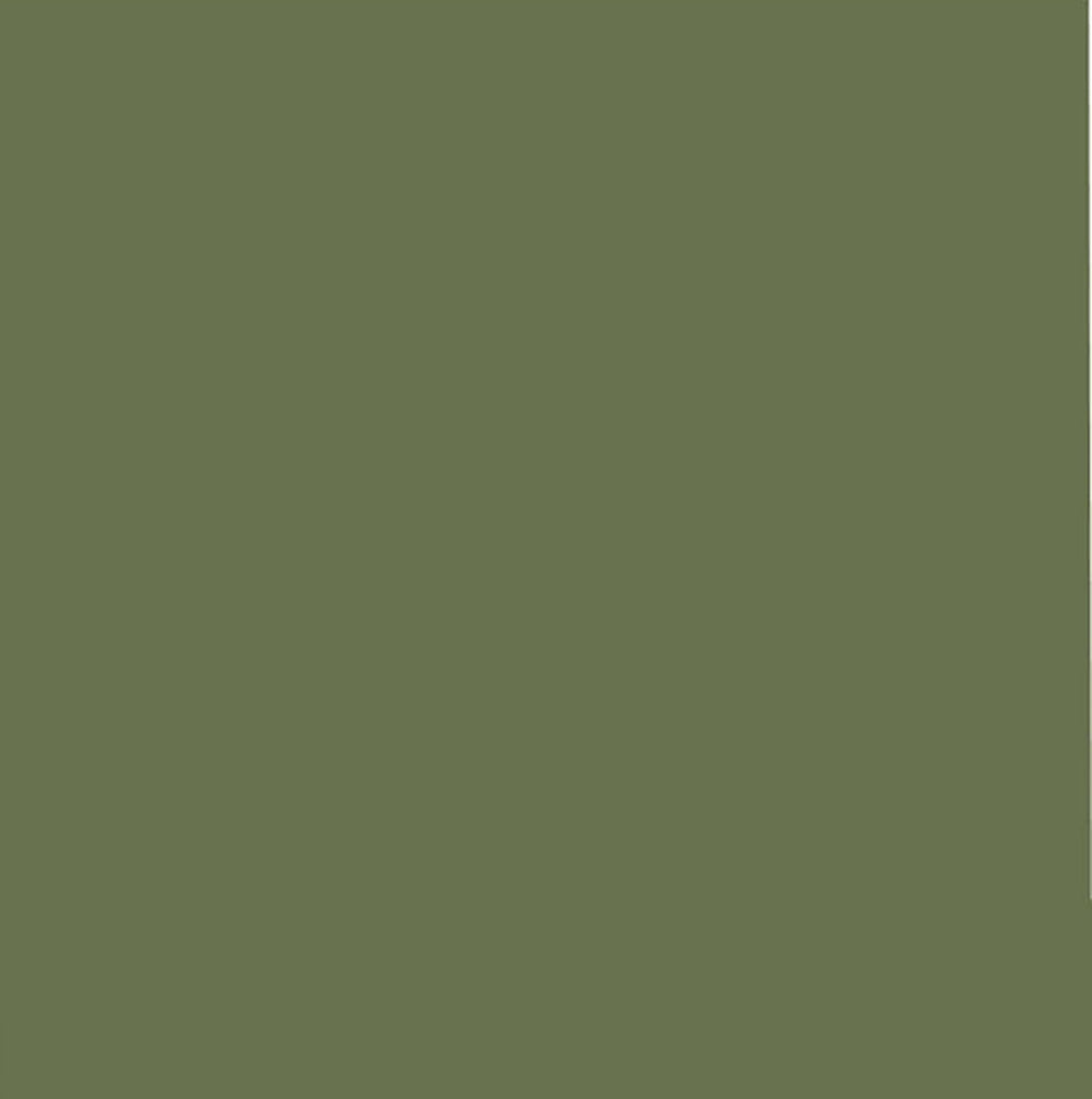 FII RISO Ink: Moss