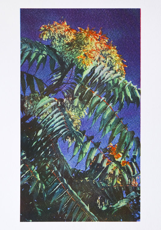 June Ku- "Tree of Heaven"