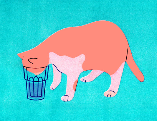 Connie Yen- "Stay Hydrated"