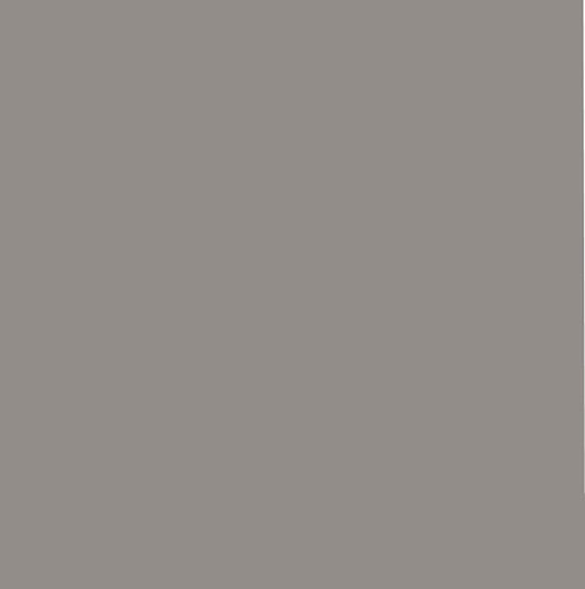 FII RISO Ink: Gray
