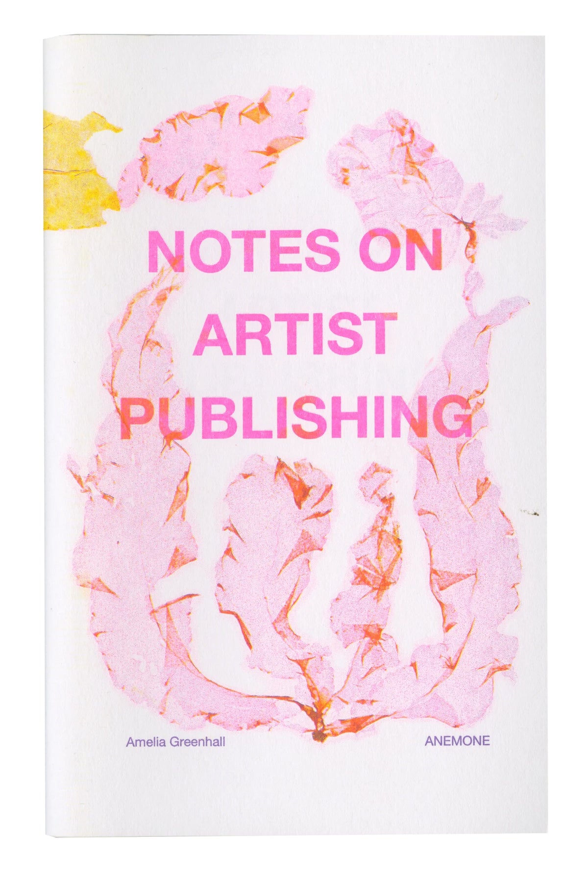 Notes on Artist Publishing