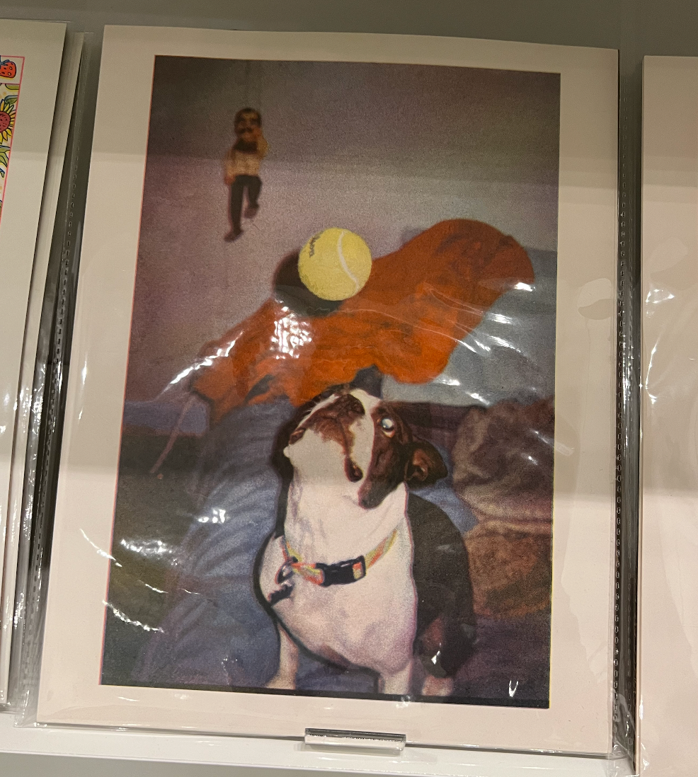 Dog + Ball (deleted)
