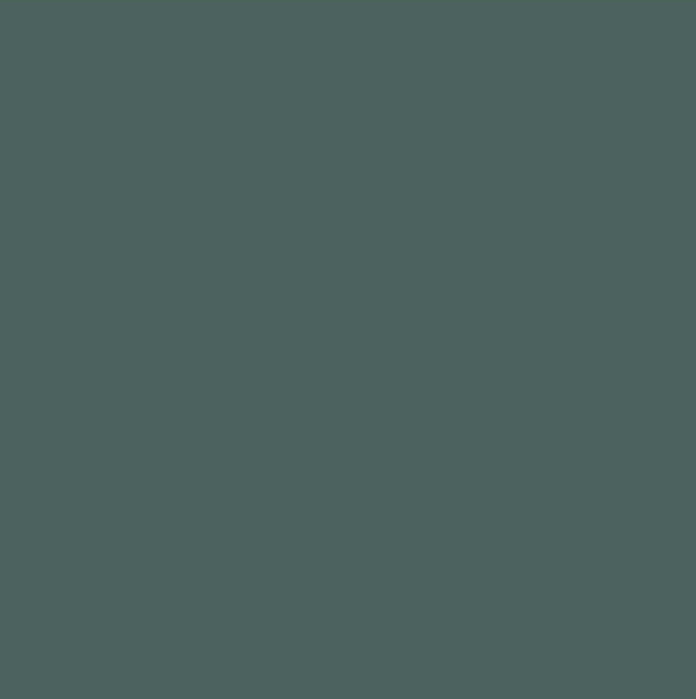 FII RISO Ink: Spruce
